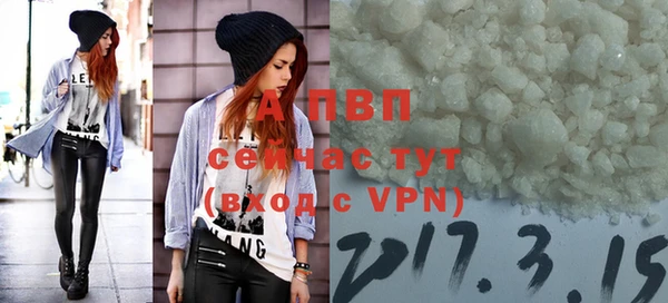 тгк Верея