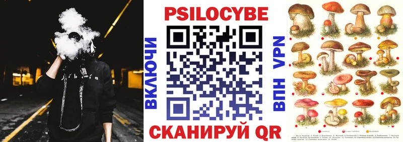 Псилоцибиновые грибы Psilocybine cubensis  omg ссылки  Карпинск 