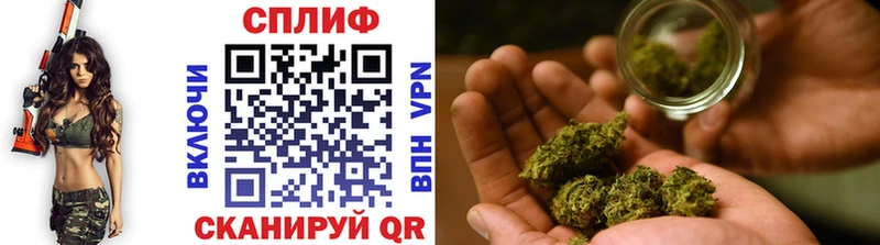 Бошки марихуана SATIVA & INDICA  OMG зеркало  Карпинск  цены наркотик 